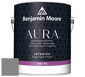Benjamin Moore Aura 522 Interior Paint - Matte краска цвет NCS S 5005-G20Y 