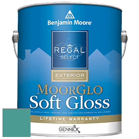 Benjamin Moore W096 Regal Select Exterior Paint-Moor GloSoft Gloss Finish краска цвет 671 Soft Spruce