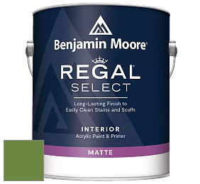 Benjamin Moore 548 IRegal Select Interior Paint - Matte краска цвет NCS S 3060-G30Y 