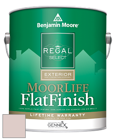 Benjamin Moore W105 Regal Select Exterior Paint-MoorLife Flat Finish краска цвет 1241 Morristown Cream