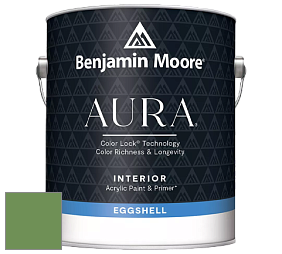 Benjamin Moore Aura 524 Waterborne Interior Eggshell Finish краска цвет 553 Richmond Green