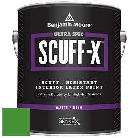 Benjamin Moore 484 Ultra Spec SCUFF-X Interior Matte Finish краска цвет NCS S 2075-G20Y 