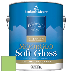 Benjamin Moore W096 Regal Select Exterior Paint-Moor GloSoft Gloss Finish краска цвет 2030-40 Spring Leaf