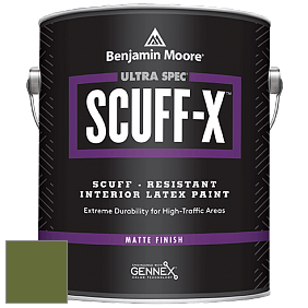 Benjamin Moore 484 Ultra Spec SCUFF-X Interior Matte Finish краска цвет NCS S 4550-G40Y 