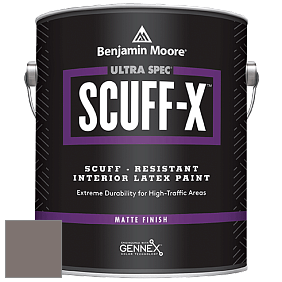 Benjamin Moore 484 Ultra Spec SCUFF-X Interior Matte Finish краска цвет NCS S 6005-Y80R 