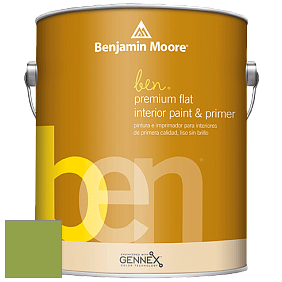 Benjamin Moore Ben W625 Premium Interior Latex Flat краска цвет NCS S 2060-G40Y 