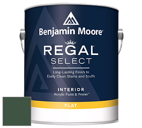 Benjamin Moore 547 Regal Select Waterborne Interior Flat Finish краска цвет NCS S 7020-G10Y 