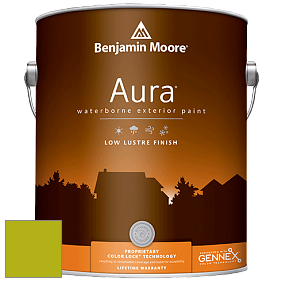 Benjamin Moore Aura 634 Waterborne Exterior Low Lustre Finish краска цвет 2027-20 Spring Moss