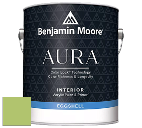Benjamin Moore Aura 524 Waterborne Interior Eggshell Finish краска цвет NCS S 1050-G40Y 