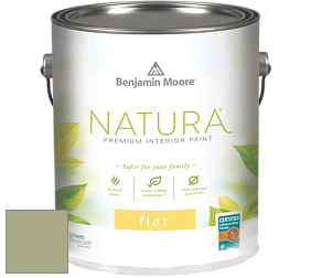 Benjamin Moore 512 Natura Interior Flat Finish матовая краска цвет NCS S 3020-G50Y 