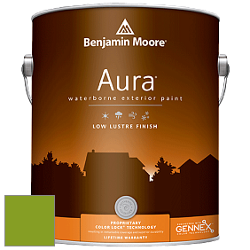 Benjamin Moore Aura 634 Waterborne Exterior Low Lustre Finish краска цвет 2028-10 Iguana Green