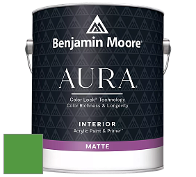 Benjamin Moore Aura 522 Interior Paint - Matte краска цвет 2033-20 Peppermint Leaf