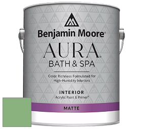 Benjamin Moore Aura 532 Bath & Spa Waterborne Interior Paint Matte Finish краска цвет NCS S 2040-G20Y 