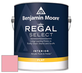 Benjamin Moore 547 Regal Select Waterborne Interior Flat Finish краска цвет NCS S 0540-R10B 