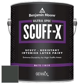 Benjamin Moore 484 Ultra Spec SCUFF-X Interior Matte Finish краска цвет NCS S 8505-G20Y 