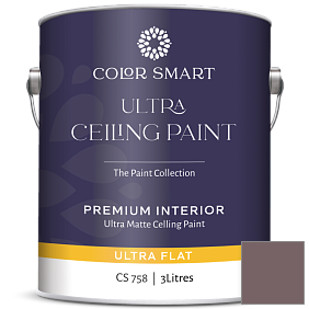 Краска COLOR SMART CS 758 ULTRA CEILING PAINT ультраматовая краска цвет 1449 Pinch of Spice