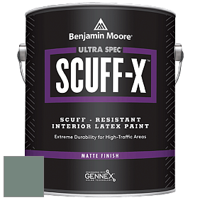 Benjamin Moore 484 Ultra Spec SCUFF-X Interior Matte Finish краска цвет NCS S 5010-B90G 