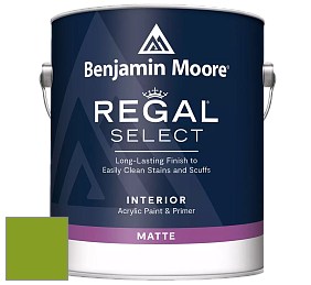 Benjamin Moore 548 IRegal Select Interior Paint - Matte краска цвет 2028-10 Iguana Green