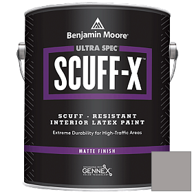 Краска Ultra Spec SCUFF-X Interior Matte Finish (484) цвет AF-675 
