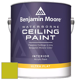 Benjamin Moore 508 Waterborne Ceiling Paint краска для потолков цвет 2027-30 Eccentric Lime