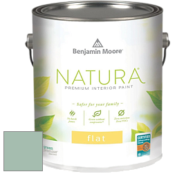 Benjamin Moore 512 Natura Interior Flat Finish матовая краска цвет 633 Appalachian Trail