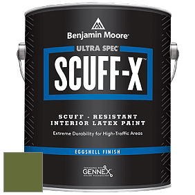 Benjamin Moore 485 Ultra Spec SCUFF-X Interior Eggshell Finish краска цвет NCS S 4550-G40Y 