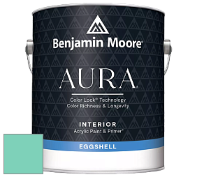 Benjamin Moore Aura 524 Waterborne Interior Eggshell Finish краска цвет NCS S 1040-B80G 