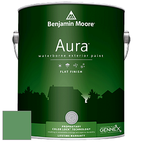 Benjamin Moore Aura 629 Waterborne Exterior Flat Finish краска цвет 2036-30 Green with Envy