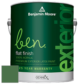 Benjamin Moore Ben 541 Waterborne Exterior Flat Finish краска цвет 2036-10 Cat's Eye