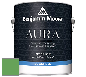 Benjamin Moore Aura 524 Waterborne Interior Eggshell Finish краска цвет NCS S 2060-G20Y 