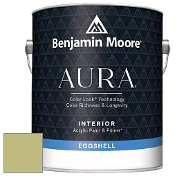 Benjamin Moore Aura 524 Waterborne Interior Eggshell Finish краска цвет NCS S 2030-G60Y 