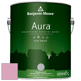 Benjamin Moore Aura 629 Waterborne Exterior Flat Finish краска цвет 2080-50 Bayberry