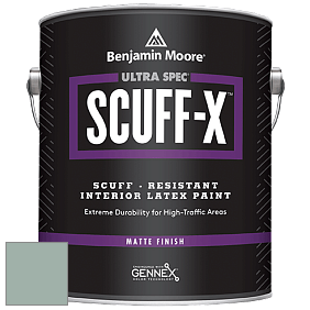 Benjamin Moore 484 Ultra Spec SCUFF-X Interior Matte Finish краска цвет NCS S 3010-B90G 