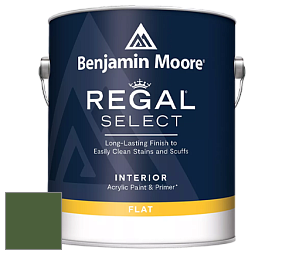 Benjamin Moore 547 Regal Select Waterborne Interior Flat Finish краска цвет NCS S 5540-G30Y 