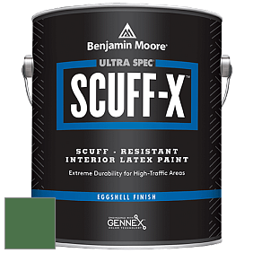 Benjamin Moore 485 Ultra Spec SCUFF-X Interior Eggshell Finish краска цвет 2036-10 Cat's Eye