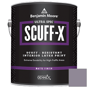 Краска Ultra Spec SCUFF-X Interior Matte Finish (484) цвет AF-600 