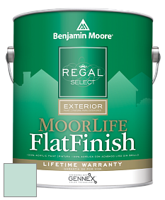 Benjamin Moore W105 Regal Select Exterior Paint-MoorLife Flat Finish краска цвет 2040-60 Antiguan Sky