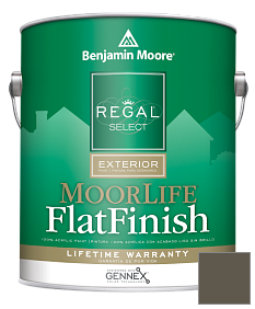 Краска Regal Select Exterior Paint-MoorLife Flat Finish (W105) цвет 2138-20 Green Grove