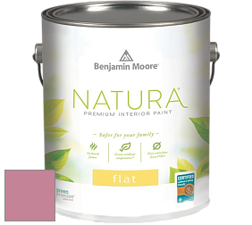 Benjamin Moore 512 Natura Interior Flat Finish матовая краска цвет NCS S 2040-R20B 