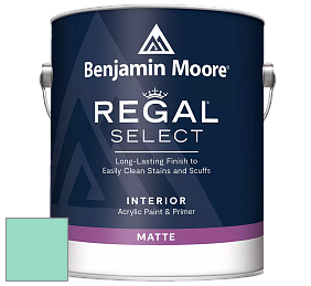 Benjamin Moore 548 IRegal Select Interior Paint - Matte краска цвет 2043-50 South Beach