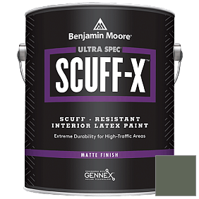 Краска Ultra Spec SCUFF-X Interior Matte Finish (484) цвет AF-480 