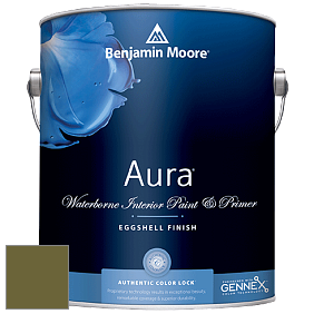 Benjamin Moore Aura 524 Waterborne Interior Eggshell Finish краска цвет NCS S 5540-G60Y 