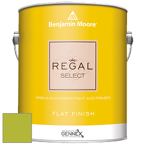 Benjamin Moore 547 Regal Select Waterborne Interior Flat Finish краска цвет NCS S 1070-G50Y 