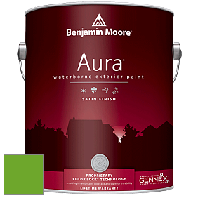 Benjamin Moore Aura 631 Waterborne Exterior Satin Finish краска цвет 2030-20 Tropical Seaweed Green