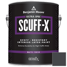 Краска Ultra Spec SCUFF-X Interior Matte Finish (484) цвет 2119-20 Black Berry