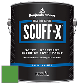 Benjamin Moore 485 Ultra Spec SCUFF-X Interior Eggshell Finish краска цвет 2033-20 Peppermint Leaf