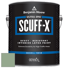 Benjamin Moore 485 Ultra Spec SCUFF-X Interior Eggshell Finish краска цвет NCS S 3020-G20Y 