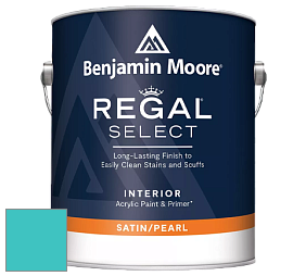 Benjamin Moore 550 Regal Select Waterborne Interior Pearl Finish краска цвет NCS S 1050-B40G 