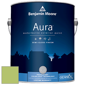 Benjamin Moore Aura 632 Waterborne Exterior Semi-Gloss Finish краска цвет 2029-40 Stem Green