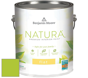 Benjamin Moore 512 Natura Interior Flat Finish матовая краска цвет NCS S 0575-G40Y 